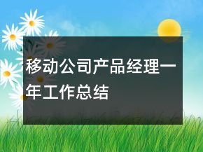 移動公司產(chǎn)品經(jīng)理一年工作總結(jié)