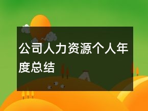 公司人力資源個(gè)人年度總結(jié)