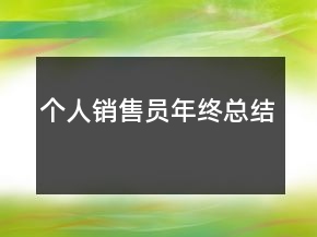 個(gè)人銷售員年終總結(jié)