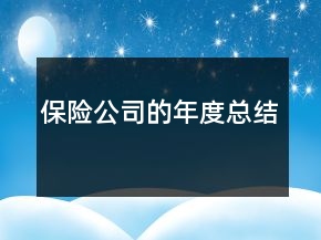 保險公司的年度總結(jié)