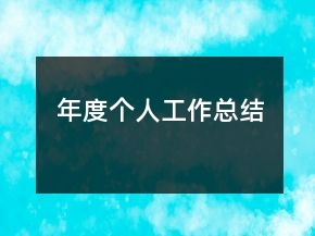 年度個(gè)人工作總結(jié)