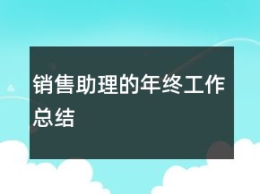 銷(xiāo)售助理的年終工作總結(jié)