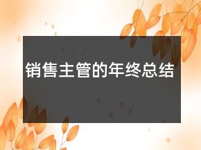 銷售主管的年終總結(jié)
