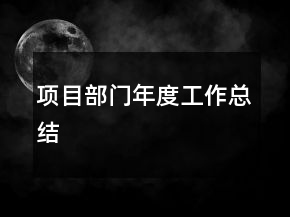 項目部門年度工作總結(jié)