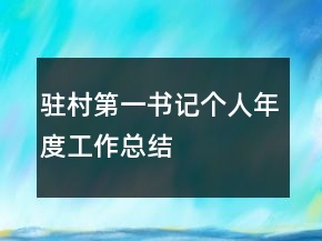 駐村第一書記個(gè)人年度工作總結(jié)