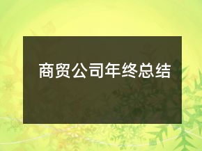 商貿(mào)公司年終總結(jié)