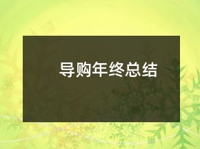導(dǎo)購(gòu)年終總結(jié)