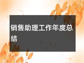 銷售助理工作年度總結(jié)