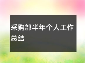 采購部半年個人工作總結(jié)