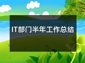 IT部門半年工作總結