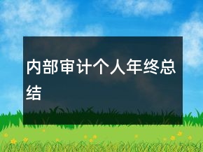 內(nèi)部審計個人年終總結(jié)
