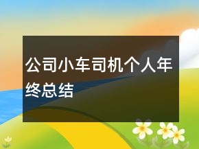 公司小車司機(jī)個(gè)人年終總結(jié)