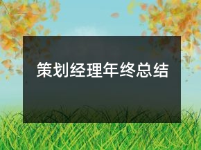 策劃經(jīng)理年終總結(jié)