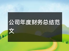 公司年度財務(wù)總結(jié)范文