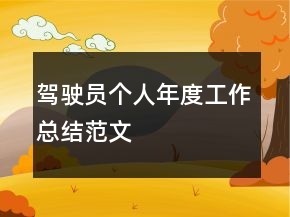 駕駛員個(gè)人年度工作總結(jié)范文