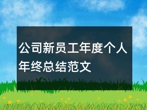 公司新員工年度個(gè)人年終總結(jié)范文