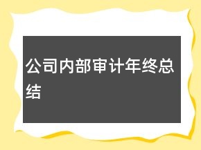 公司內(nèi)部審計(jì)年終總結(jié)
