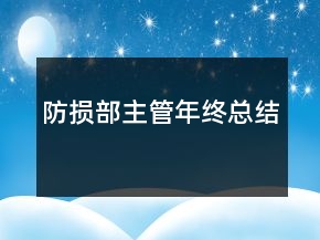 防損部主管年終總結(jié)