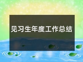 見習(xí)生年度工作總結(jié)