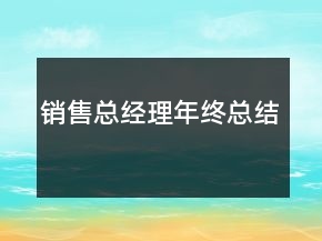 銷售總經(jīng)理年終總結(jié)