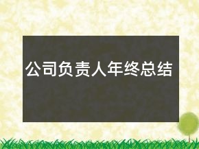 公司負責人年終總結(jié)
