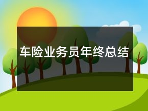 車(chē)險(xiǎn)業(yè)務(wù)員年終總結(jié)