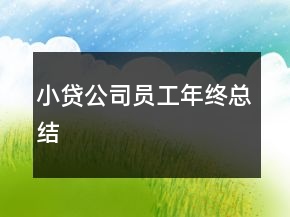小貸公司員工年終總結(jié)