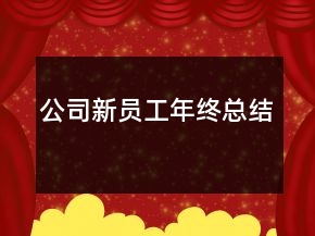 公司新員工年終總結