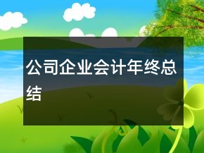 公司企業(yè)會(huì)計(jì)年終總結(jié)