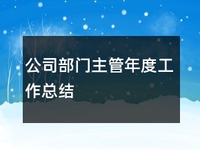 公司部門主管年度工作總結(jié)