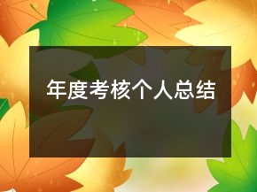 年度考核個人總結(jié)
