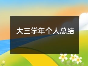 大三學(xué)年個(gè)人總結(jié)
