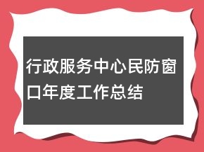 行政服務中心民防窗口年度工作總結
