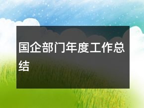 國企部門年度工作總結(jié)