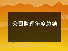 公司監(jiān)理年度總結(jié)