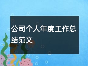 公司個人年度工作總結范文