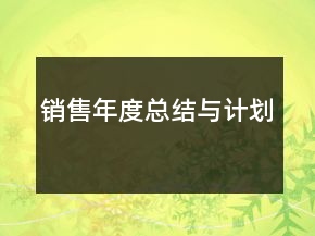 銷售年度總結(jié)與計(jì)劃