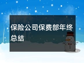 保險(xiǎn)公司保費(fèi)部年終總結(jié)