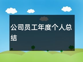 公司員工年度個(gè)人總結(jié)