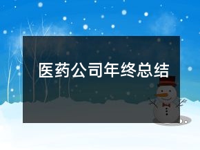 醫(yī)藥公司年終總結(jié)