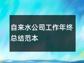 自來水公司工作年終總結(jié)范本