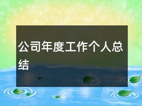 公司年度工作個(gè)人總結(jié)