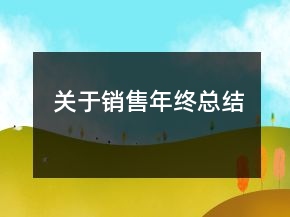 關(guān)于銷售年終總結(jié)