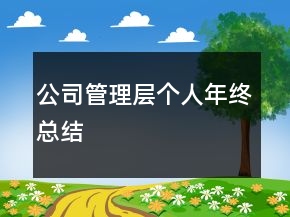 公司管理層個人年終總結(jié)