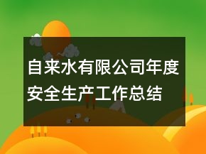 自來水有限公司年度安全生產工作總結