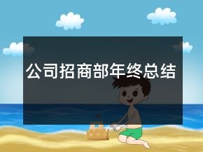 公司招商部年終總結(jié)