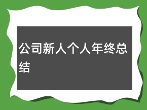 公司新人個(gè)人年終總結(jié)