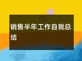 銷售半年工作自我總結(jié)