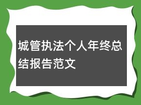 城管執(zhí)法個(gè)人年終總結(jié)報(bào)告范文