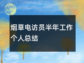 煙草電訪員半年工作個人總結(jié)